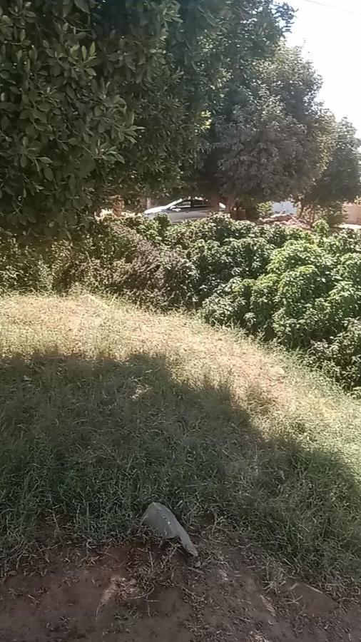 بيت شمس Aswan Zewnętrze zdjęcie