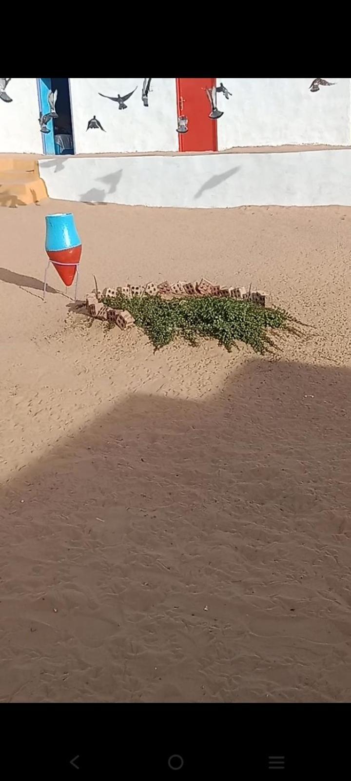 بيت شمس Aswan Zewnętrze zdjęcie